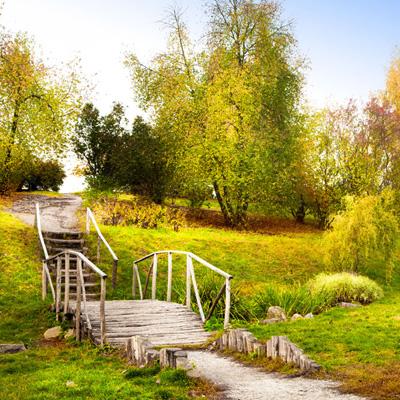 上下分的捕鱼appapp下载